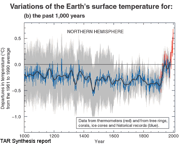 Mann-IPCC Hockey Stick